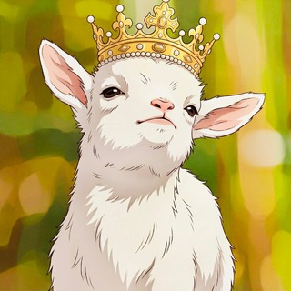 👑 King傾•講完未！🇭🇰香港吹水群